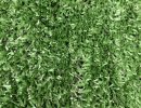 Artificial Lawn